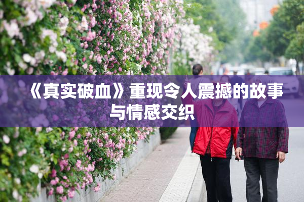 《真实破血》重现令人震撼的故事与情感交织