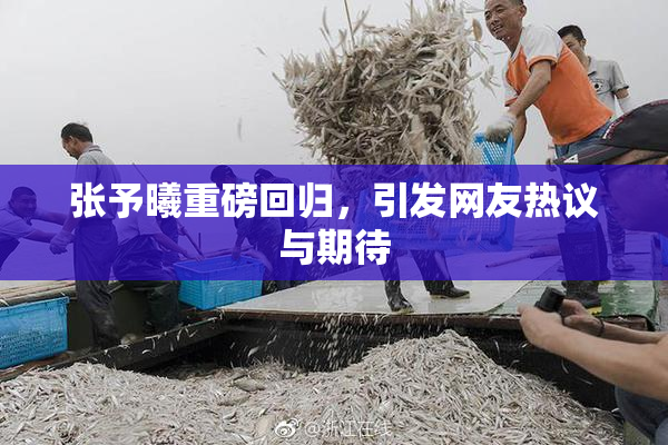 张予曦重磅回归，引发网友热议与期待
