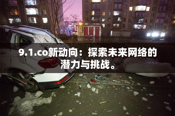 9.1.co新动向：探索未来网络的潜力与挑战。
