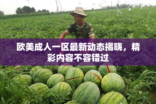 欧美成人一区最新动态揭晓，精彩内容不容错过