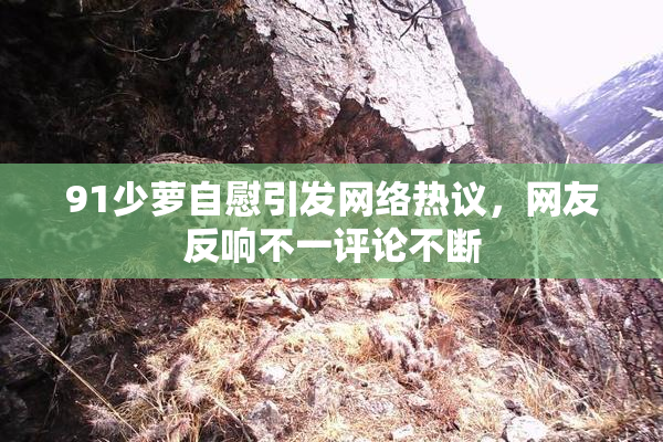 91少萝自慰引发网络热议，网友反响不一评论不断