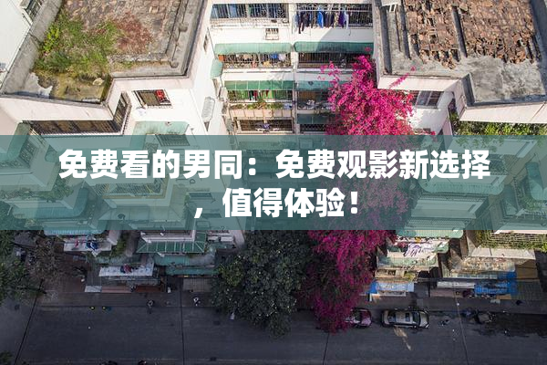免费看的男同：免费观影新选择，值得体验！