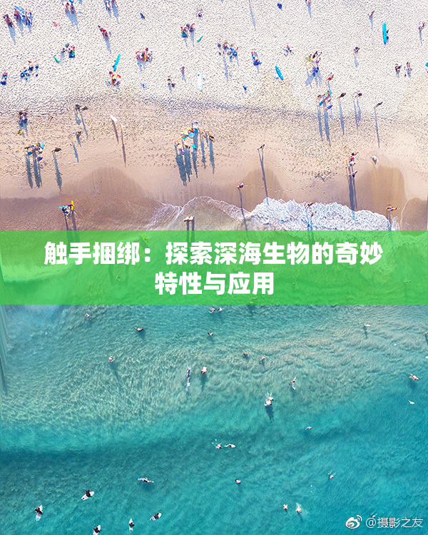 触手捆绑：探索深海生物的奇妙特性与应用