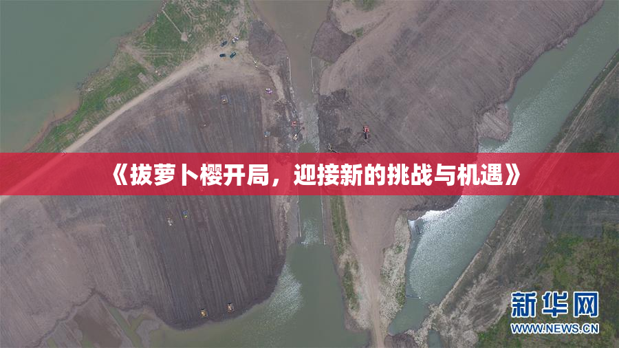 《拔萝卜樱开局，迎接新的挑战与机遇》