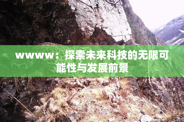 wwww：探索未来科技的无限可能性与发展前景