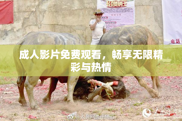 成人影片免费观看，畅享无限精彩与热情