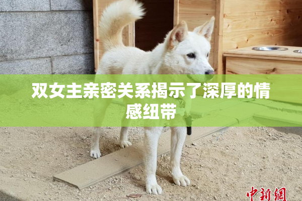 双女主亲密关系揭示了深厚的情感纽带