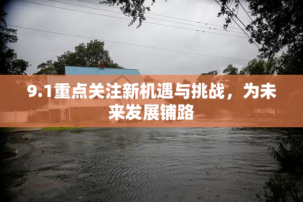 9.1重点关注新机遇与挑战，为未来发展铺路