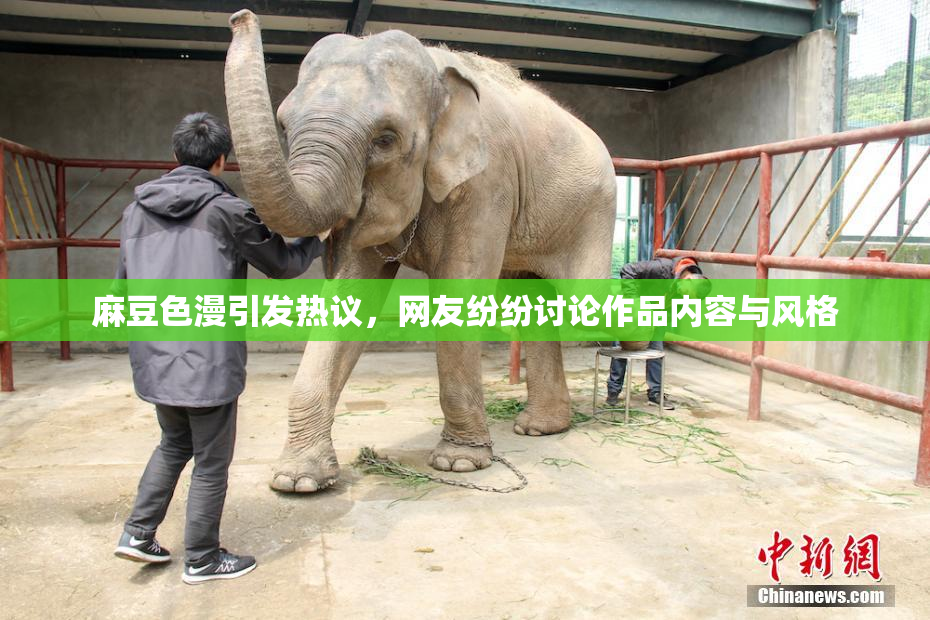 麻豆色漫引发热议，网友纷纷讨论作品内容与风格