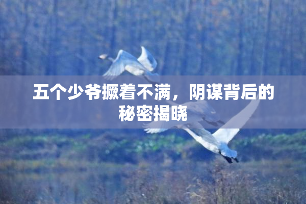 五个少爷撅着不满，阴谋背后的秘密揭晓