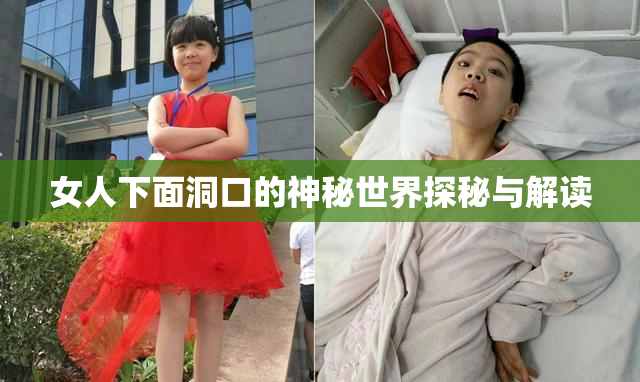 女人下面洞口的神秘世界探秘与解读