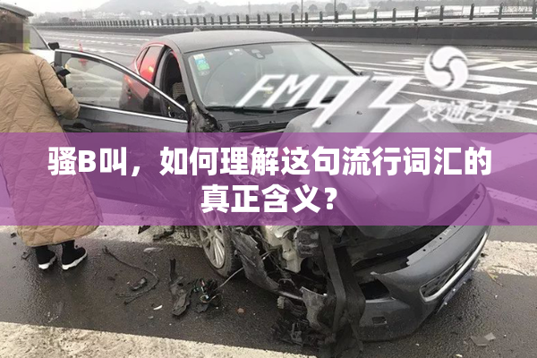 骚B叫，如何理解这句流行词汇的真正含义？