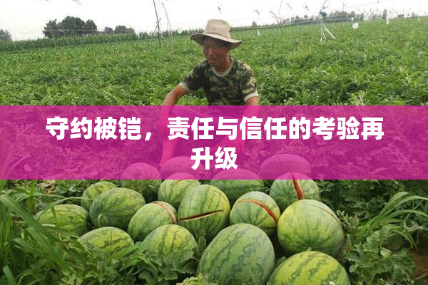 守约被铠，责任与信任的考验再升级