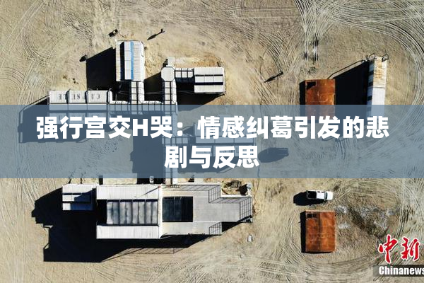 强行宫交H哭：情感纠葛引发的悲剧与反思