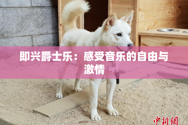 即兴爵士乐：感受音乐的自由与激情