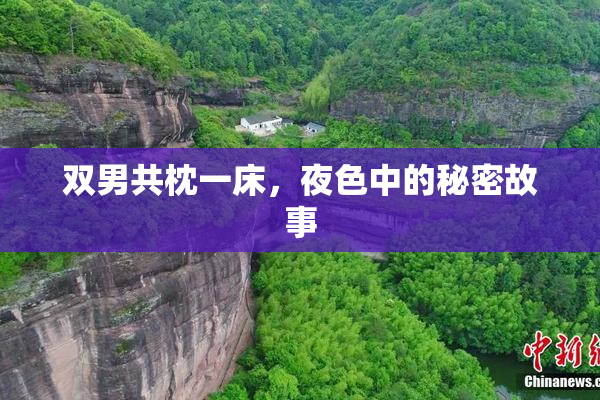 双男共枕一床，夜色中的秘密故事
