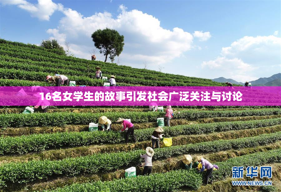 16名女学生的故事引发社会广泛关注与讨论