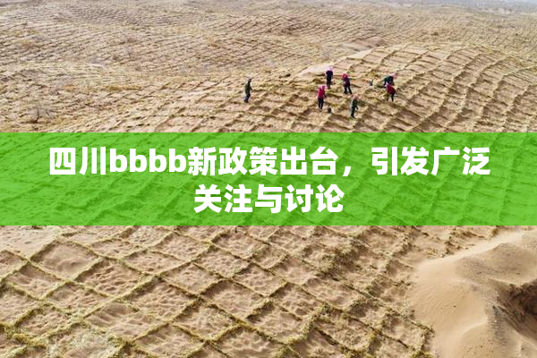 四川bbbb新政策出台，引发广泛关注与讨论