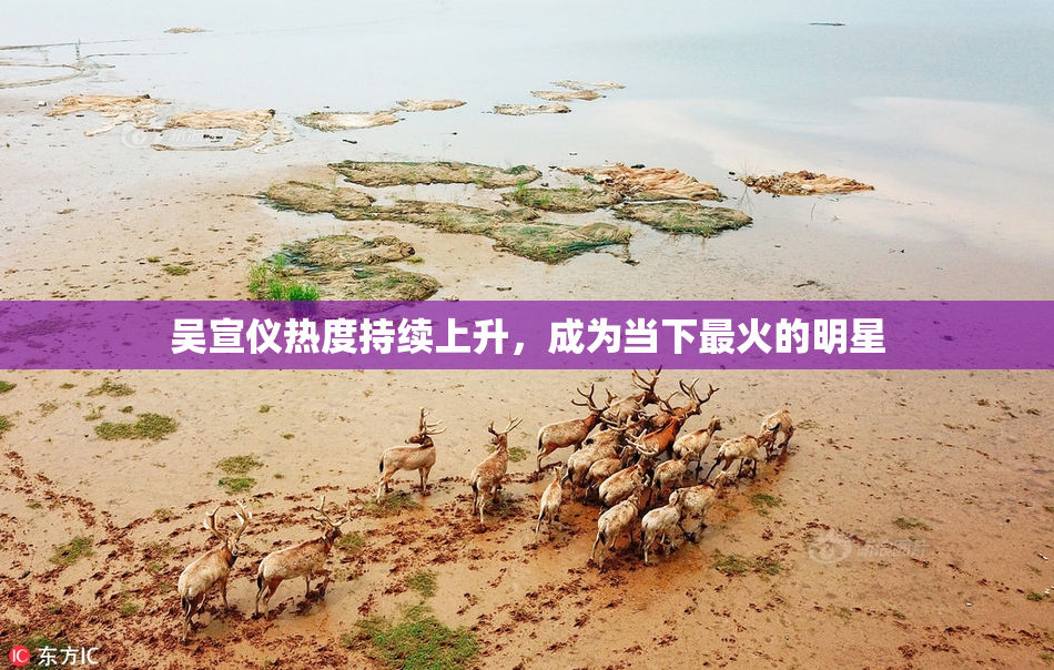 吴宣仪热度持续上升，成为当下最火的明星