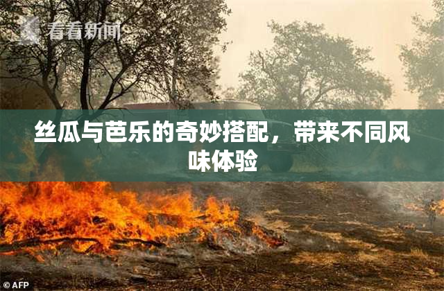 丝瓜与芭乐的奇妙搭配，带来不同风味体验
