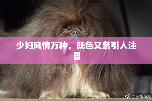 少妇风情万种，既色又紧引人注目