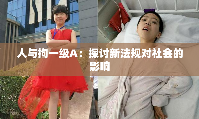 人与拘一级A：探讨新法规对社会的影响