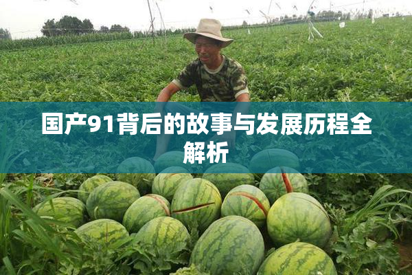 国产91背后的故事与发展历程全解析