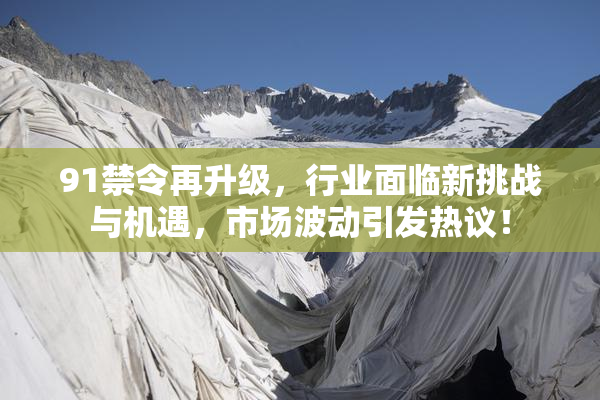 91禁令再升级，行业面临新挑战与机遇，市场波动引发热议！