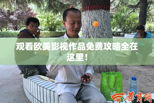 观看欧美影视作品免费攻略全在这里！
