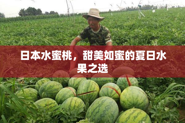 日本水蜜桃，甜美如蜜的夏日水果之选