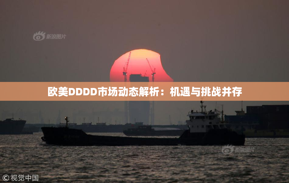 欧美DDDD市场动态解析：机遇与挑战并存