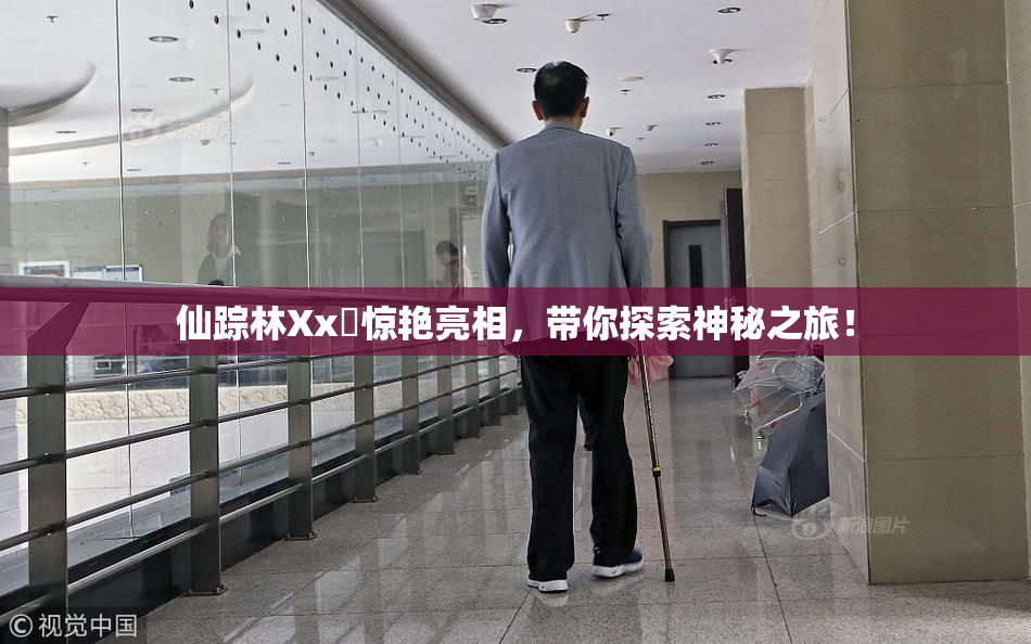 仙踪林Xx乂惊艳亮相，带你探索神秘之旅！