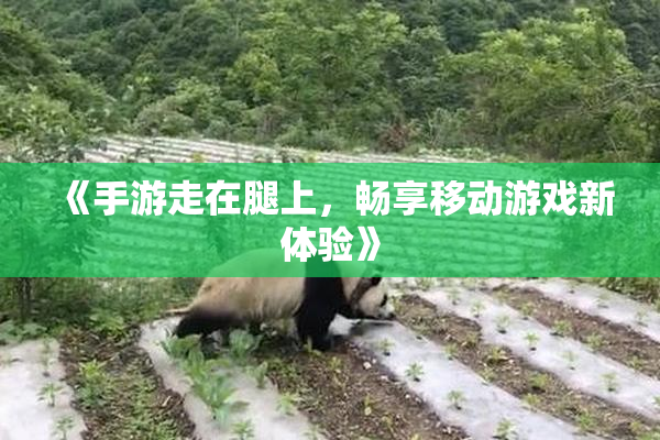 《手游走在腿上，畅享移动游戏新体验》
