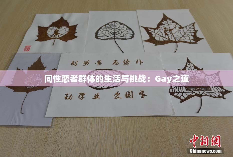 同性恋者群体的生活与挑战：Gay之道
