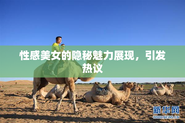 性感美女的隐秘魅力展现，引发热议
