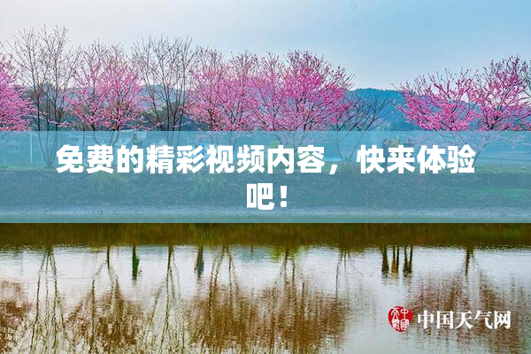免费的精彩视频内容，快来体验吧！