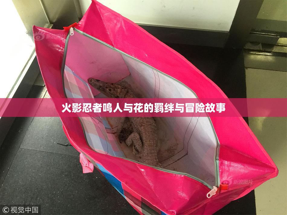 火影忍者鸣人与花的羁绊与冒险故事