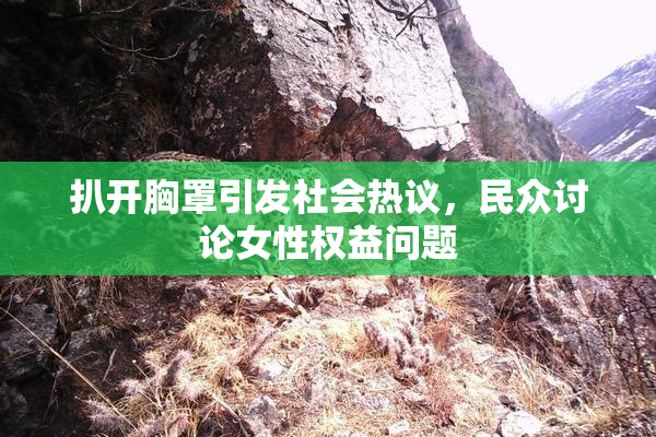 扒开胸罩引发社会热议，民众讨论女性权益问题