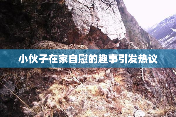 小伙子在家自慰的趣事引发热议