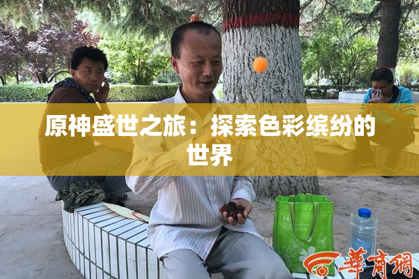 原神盛世之旅：探索色彩缤纷的世界