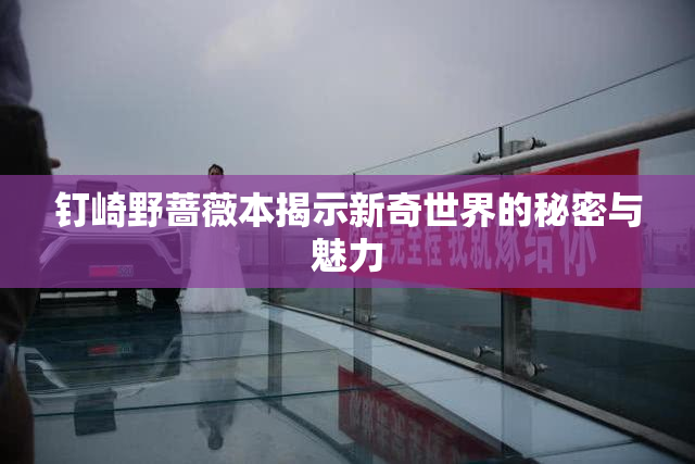 钉崎野蔷薇本揭示新奇世界的秘密与魅力