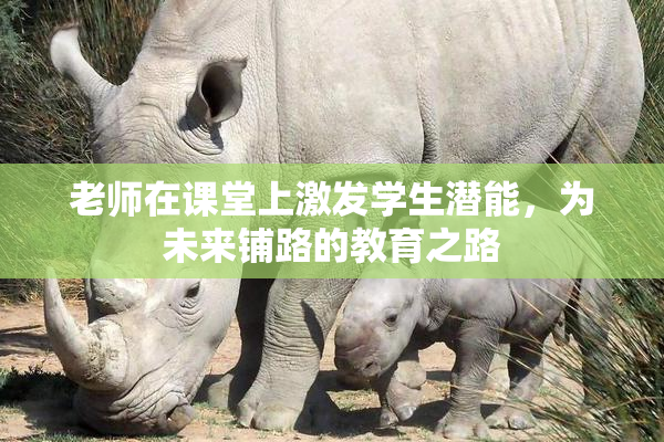 老师在课堂上激发学生潜能，为未来铺路的教育之路