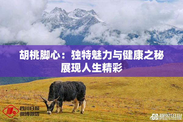 胡桃脚心：独特魅力与健康之秘展现人生精彩