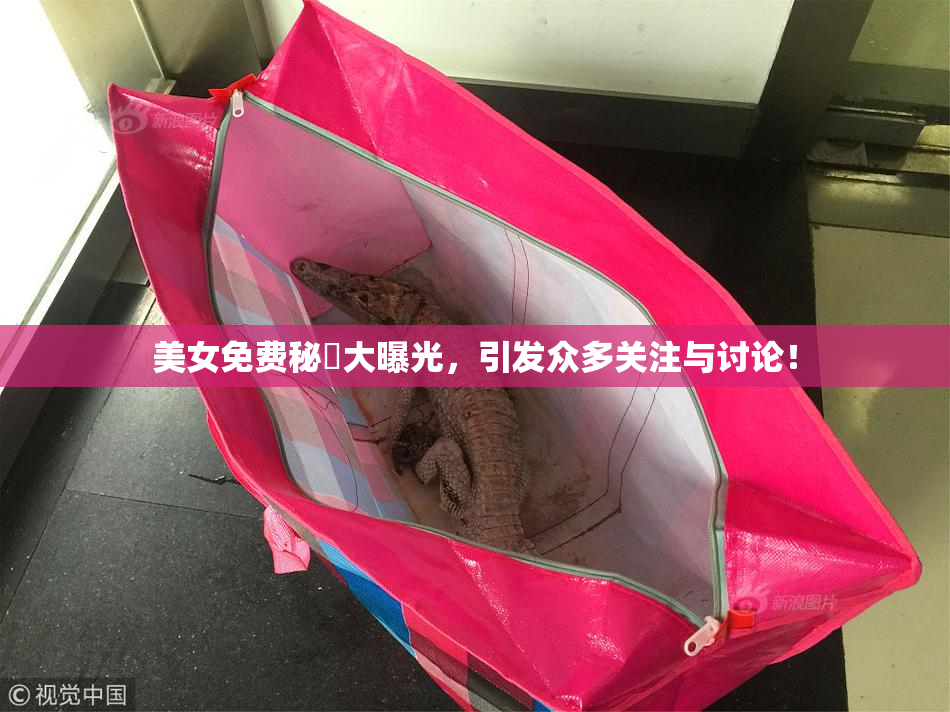 美女免费秘訣大曝光，引发众多关注与讨论！