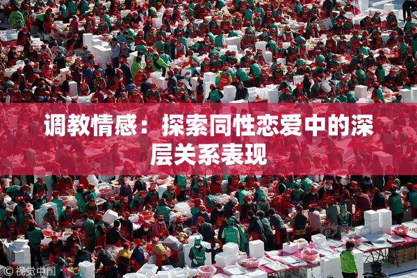 调教情感：探索同性恋爱中的深层关系表现