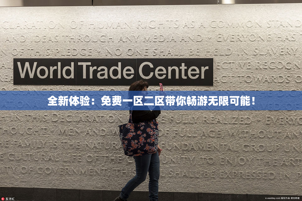 全新体验：免费一区二区带你畅游无限可能！