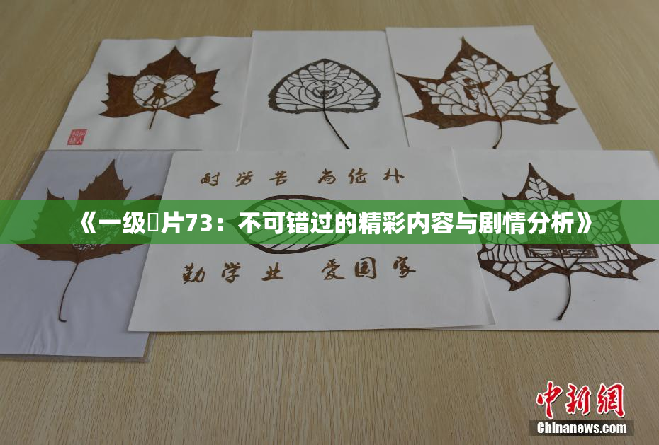 《一级婬片73：不可错过的精彩内容与剧情分析》