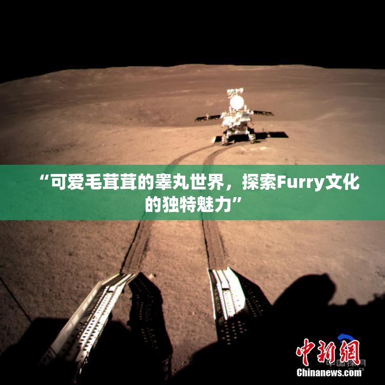 “可爱毛茸茸的睾丸世界，探索Furry文化的独特魅力”