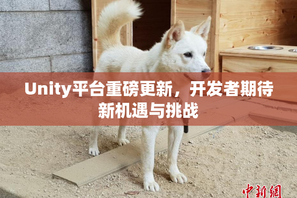Unity平台重磅更新，开发者期待新机遇与挑战