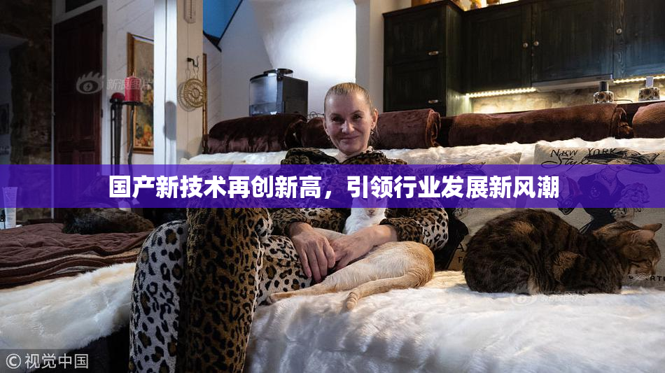 国产新技术再创新高，引领行业发展新风潮